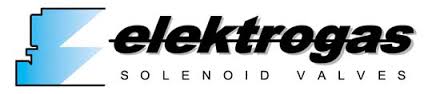 Elektrogas